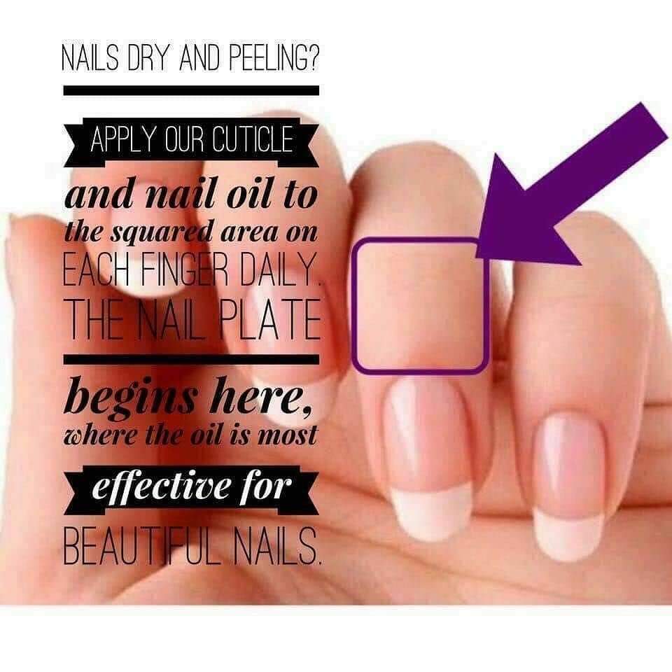 Nail Care/Cuticle Oil Kit